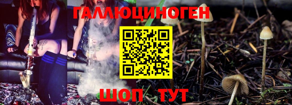 Псилоцибиновые грибы GOLDEN TEACHER  Вход с VPN  Топки  Галлюциногенные грибы Psilocybine cubensis 
