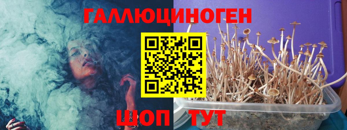 Галлюциногенные грибы MAGIC MUSHROOMS Топки